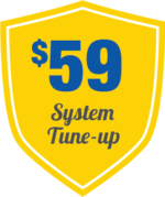 $59 System Check